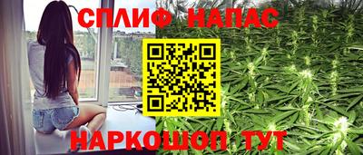 сатива Балахна
