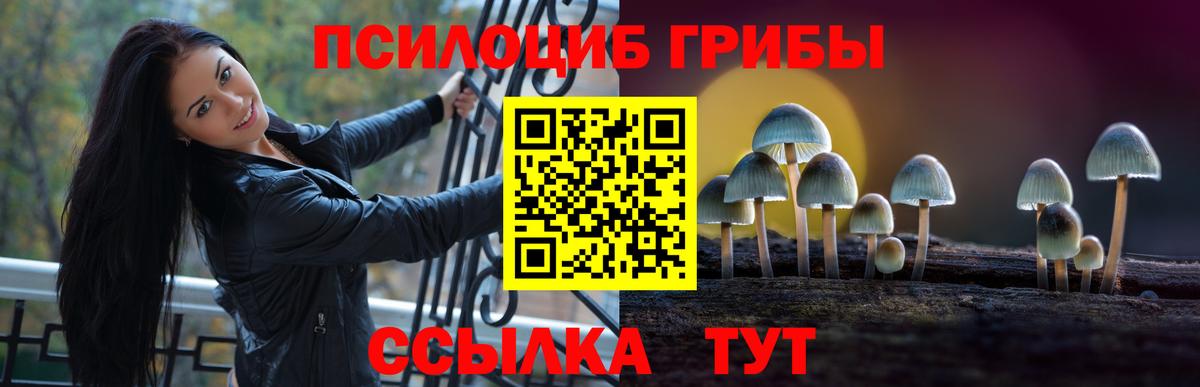 Гусиноозёрск  Галлюциногенные грибы MAGIC MUSHROOMS  Вход с VPN  Галлюциногенные грибы мухоморы 